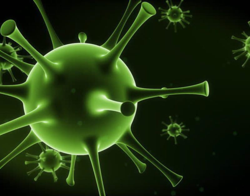 27 новых случаев коронавируса выявлено в 8 районах Ленобласти