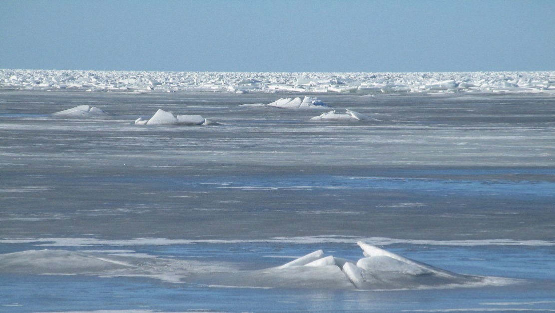 Двух рыбаков спасли на вертолете со льдины в Финском заливе