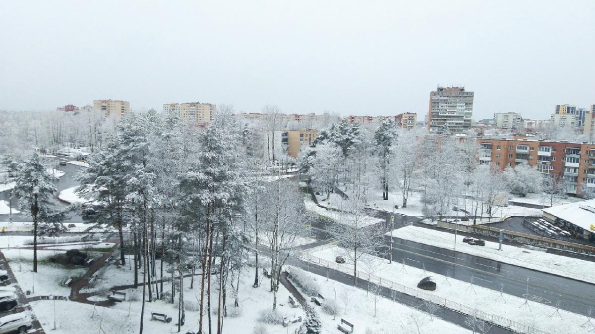 Сосновый Бор в снегу в апреле 2021 года / Фото: Наталья Осипова