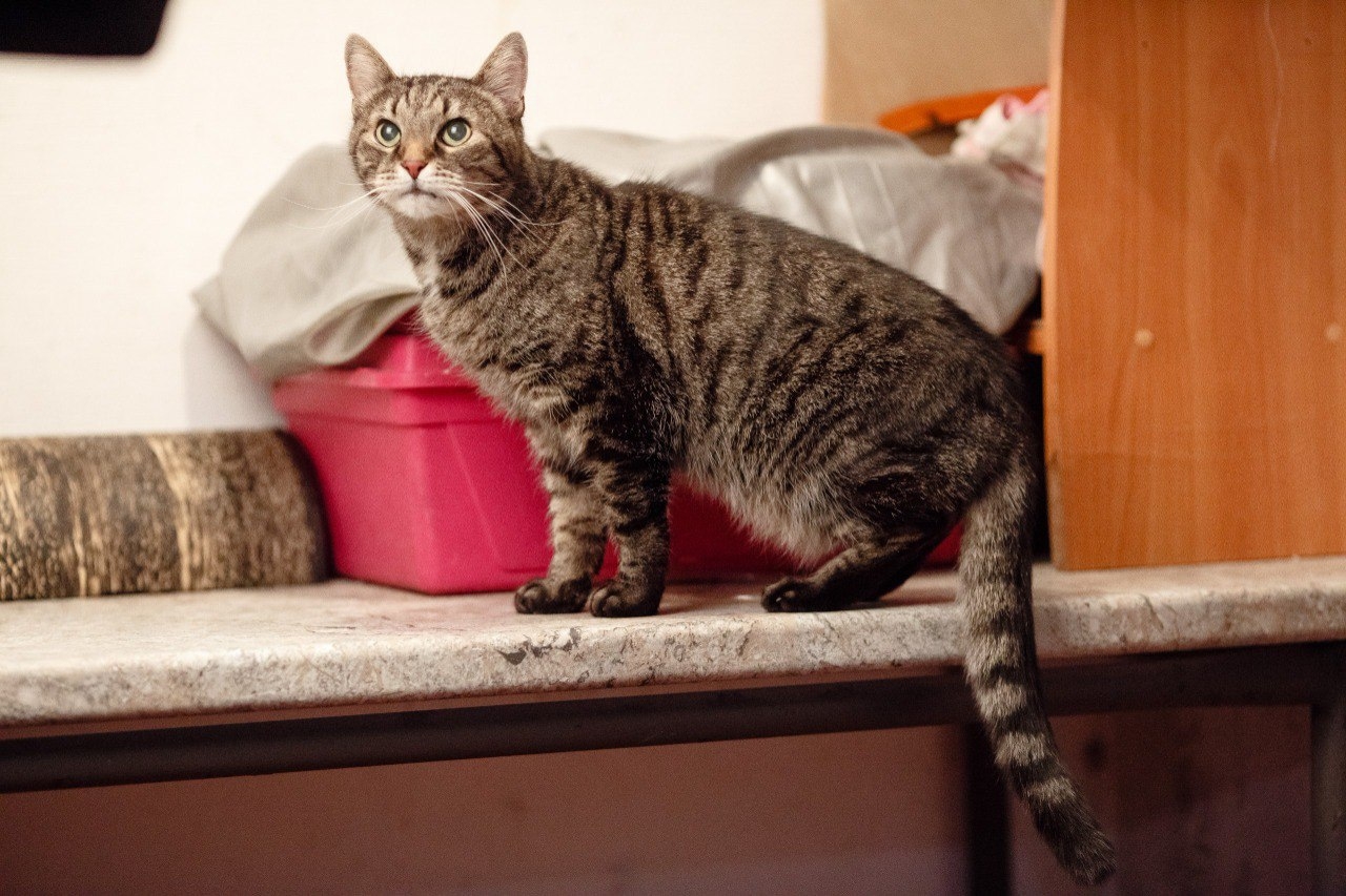 Фото: Татьяна Леонтьева/ВК