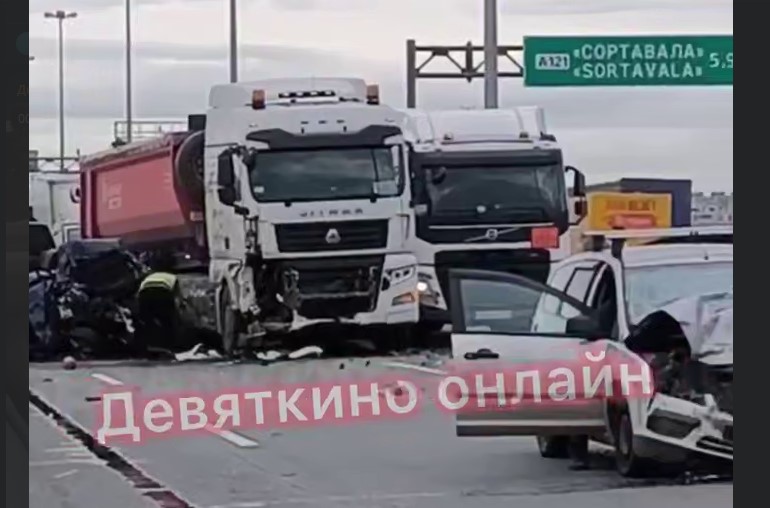 Фото: Девяткино онлайн / Telegram