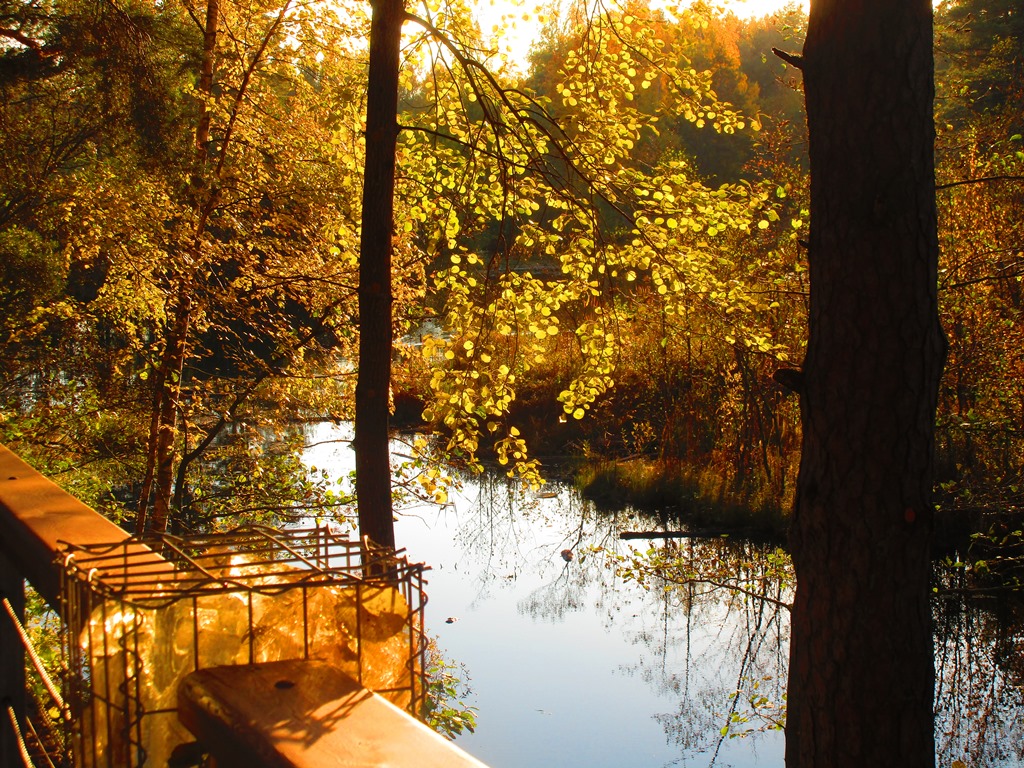 Фото Нины Князевой