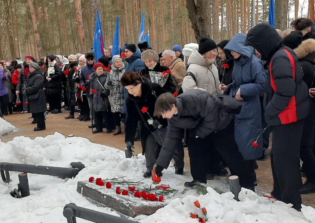 Современник сосновый бор ленинградская область