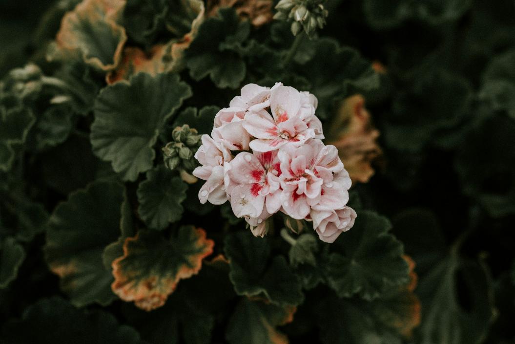 Фото: Unsplash