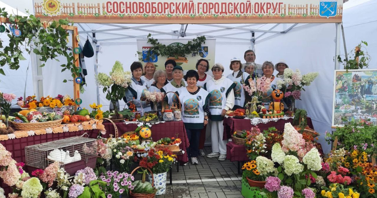Сосновоборцы выступили на областном смотре-конкурсе «Ветеранское подворье»