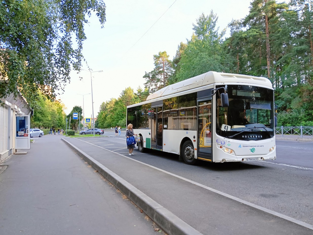 Пассажиры  200  рейсов не дождались своих  автобусов в мае в Сосновом  Бору 