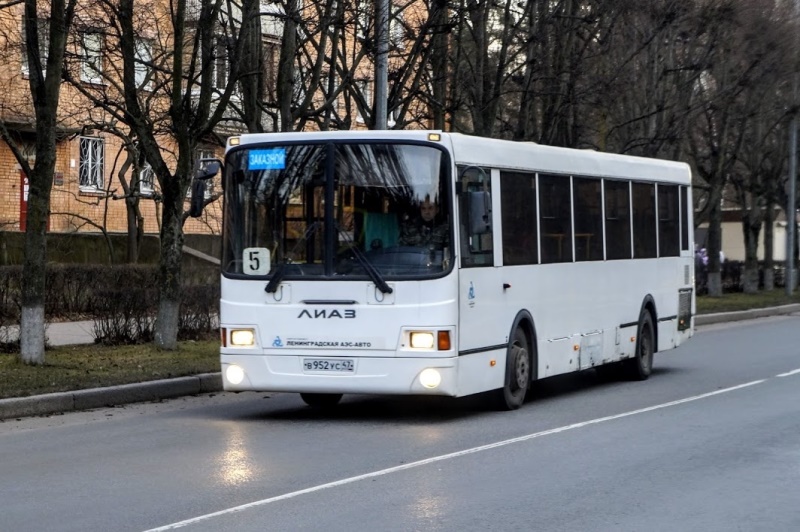 В Сосновом Бору перевезли 300 тысяч пассажиров