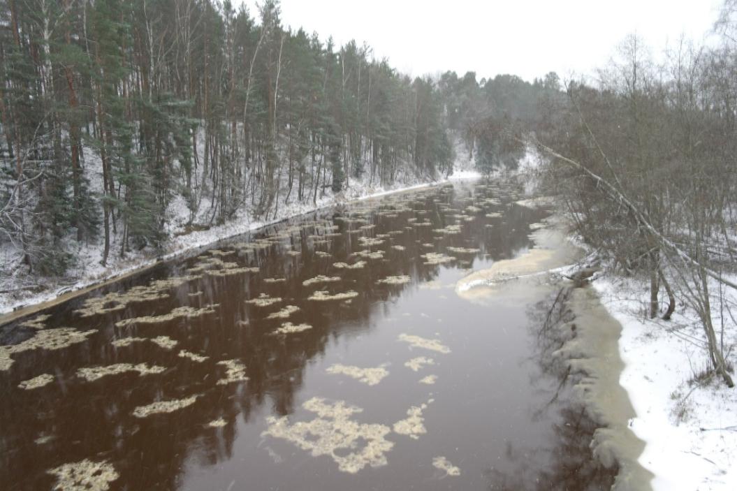 Сосновый Бор берет воду из реки Систа / Фото Нины Князевой