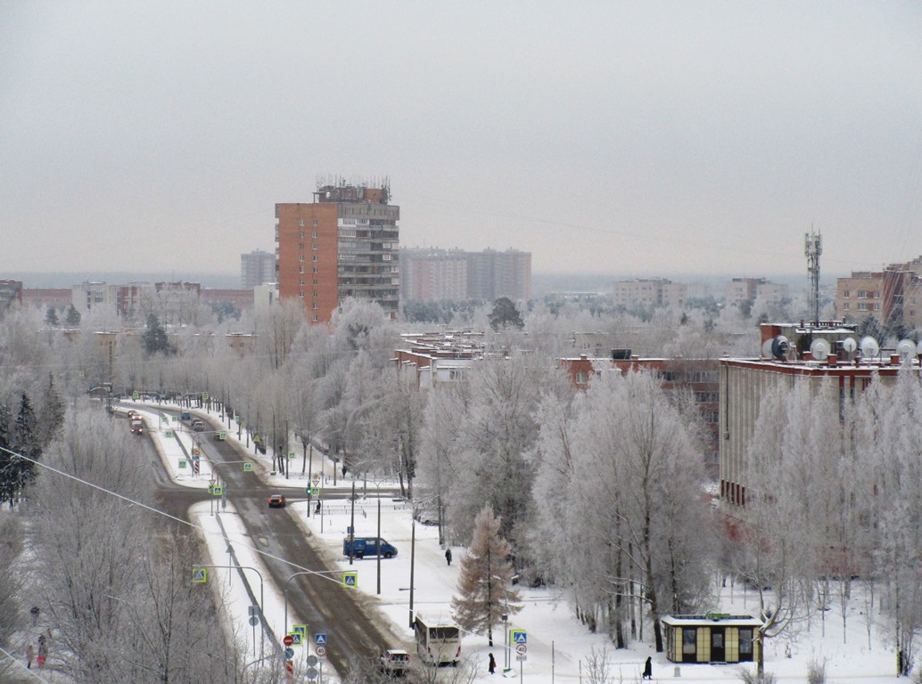 В Сосновом Бору по острым респираторным эпидпороги превышены по всем  возрастным категориям | 05.12.2023 | Сосновый Бор - БезФормата