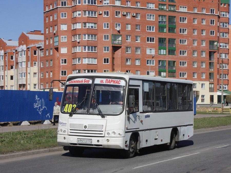 Льготы на проезд в 401 и 402 автобусах сохранятся для сосновоборцев и жителей Ленобласти