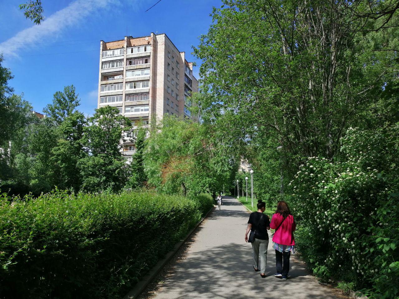 По инициативе жителей в Сосновом Бору построят новые пешеходные дорожки и детскую площадку