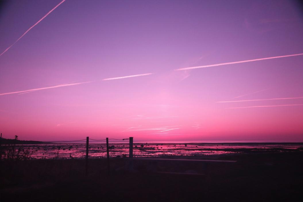 Фото: Unsplash