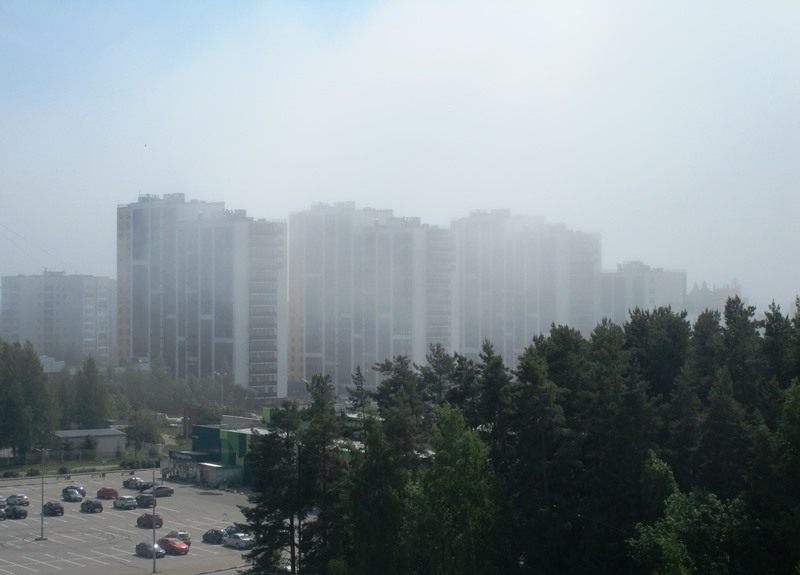 Утром 23 сентября Ленобласть накроет туман