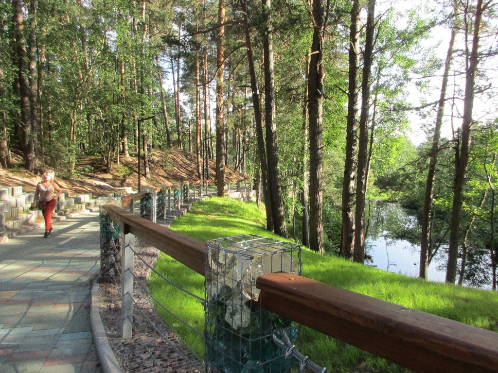 В Сосновом Бору предложили способ защиты парка «Приморский» от вандалов