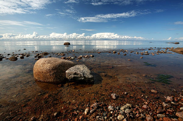 В Финском заливе ученые обнаружили критический уровень концентрации водорослей-убийц