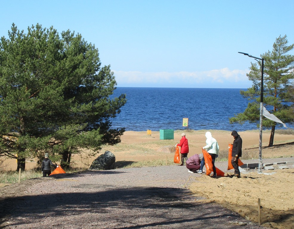 Общественная палата Ленобласти провела субботник в Сосновом Бору на ...