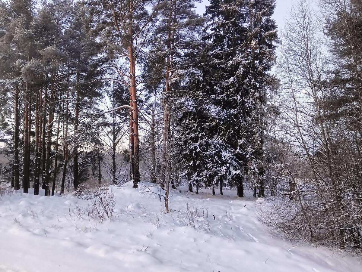 Фото: Людмила Цупко / Газета 'Маяк'
