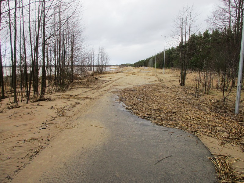 Велодорожку на берегу Финского залива атакует стихия