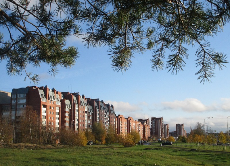 Социально-экономическое  положение в Сосновоборском городском округе за 9 месяцев 2020 года