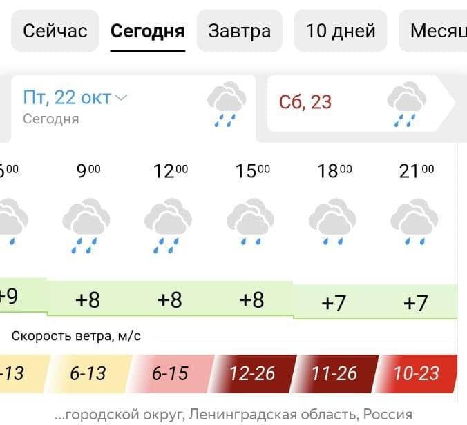 Погода гисметео сосновый бор ленинградская
