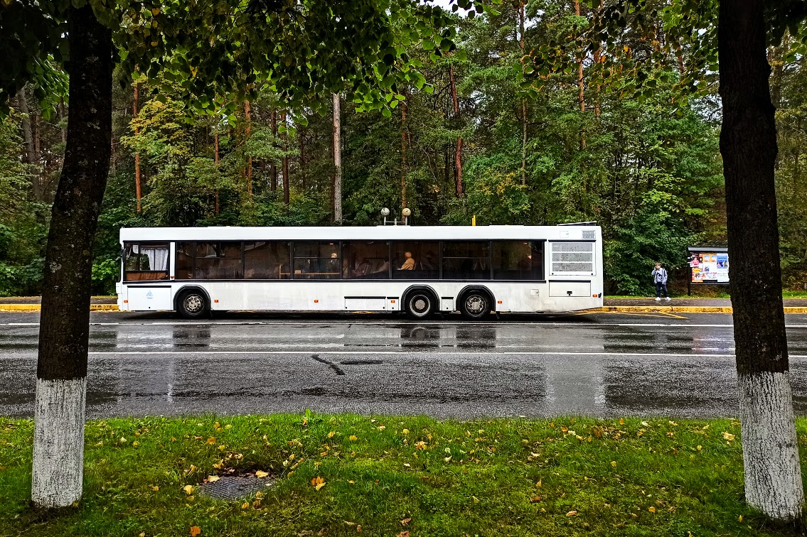 Автобус №12 в Сосновом Бору будет ходить по новому расписанию