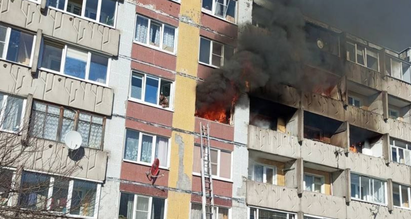 Фото: телеграм-канал «Мегаполис | ДТП и ЧП | Санкт-Петербург»