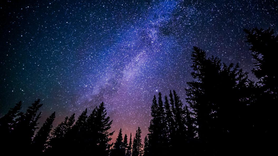 Фото: Unsplash