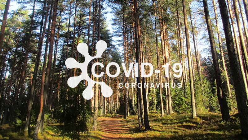 Темпы заболеваемости COVID-19 в Сосновом Бору снизились