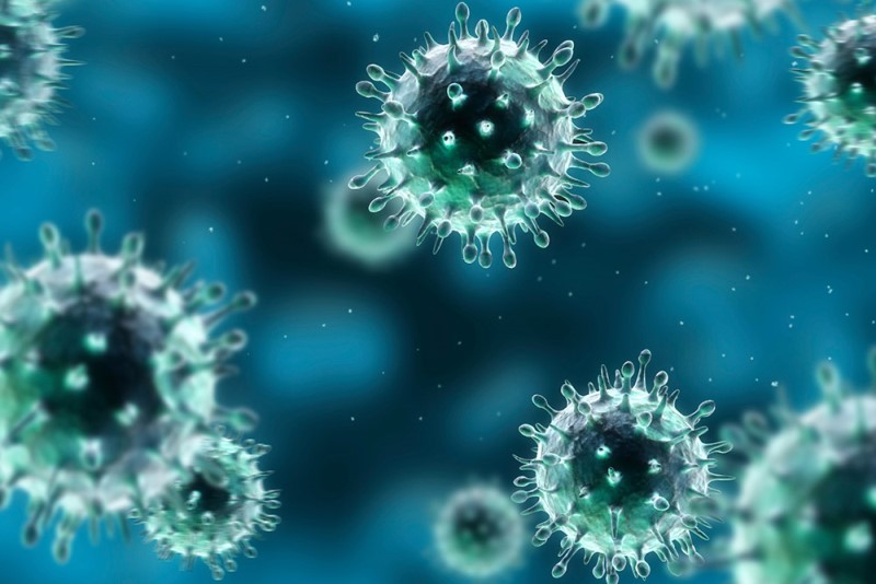51 новый случай коронавируса выявлен за сутки в Ленобласти