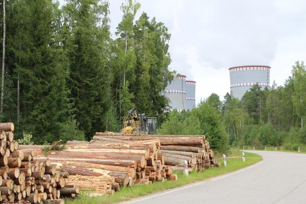 На стройплощадку двух будущих блоков ЛАЭС завезли технику и начали рубить лес