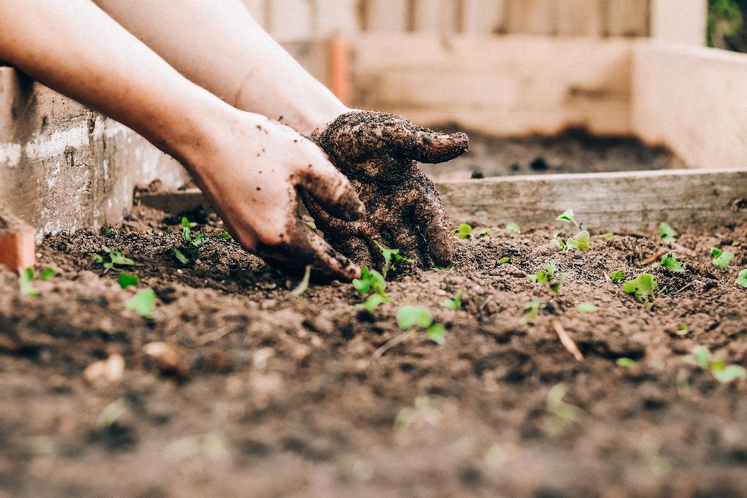 Три основных удобрения, которые подойдут для весенней подкормки сада и огорода: — полезные статьи
