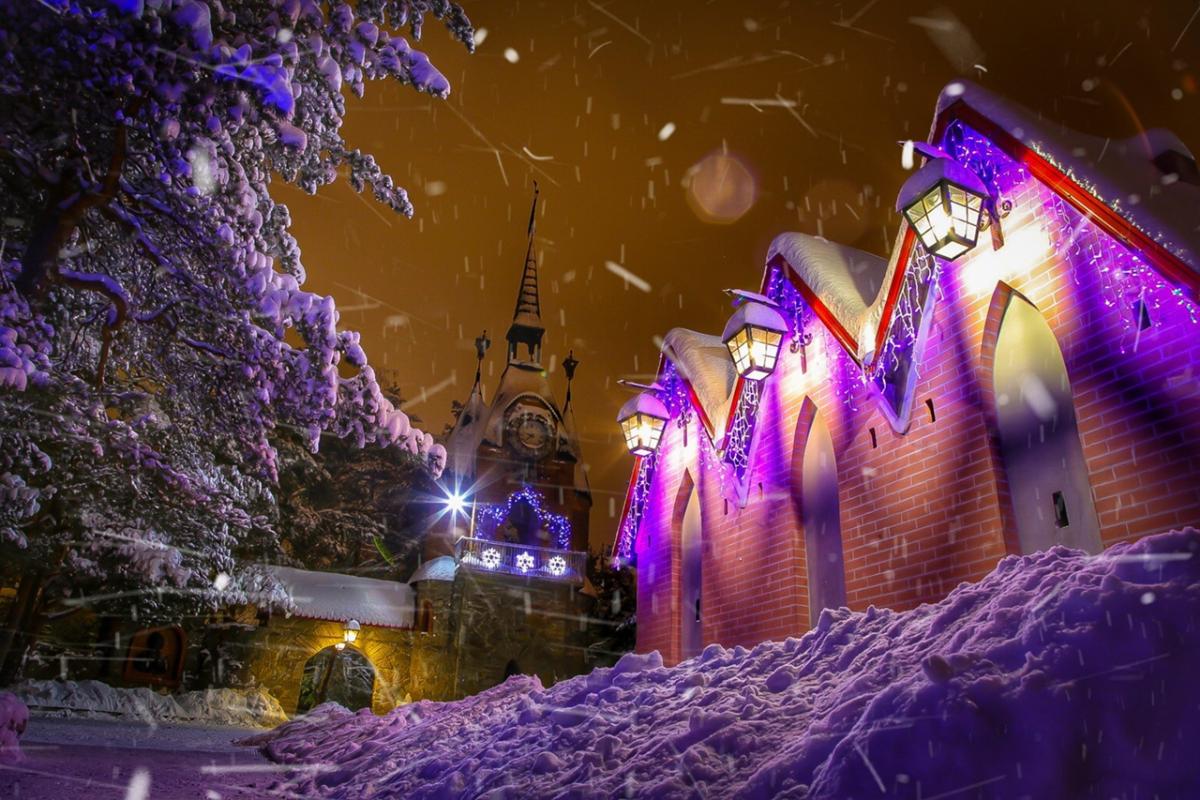 Фото: Александр Король