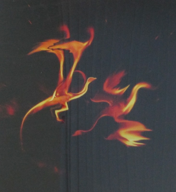 «Лед. Огонь. Любовь»: в «Арт-Карусели» открылась фотовыставка Георгия Угрюмова