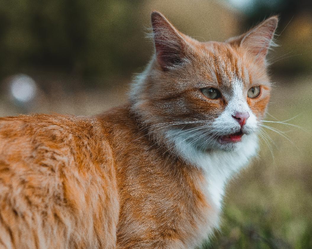 Фото: Unsplash