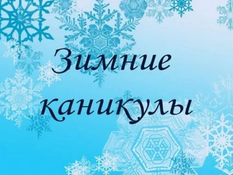 Каникулы для всех  школьников в Сосновом Бору начнутся с 28 декабря