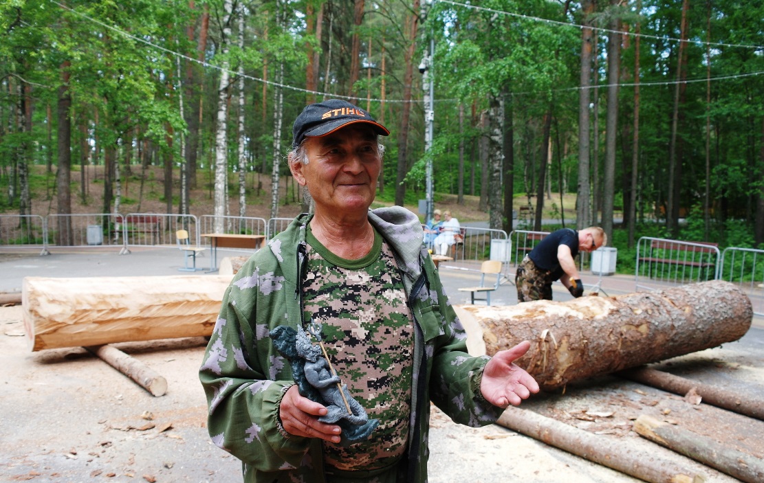 Диагностическая карта в сосновом бору