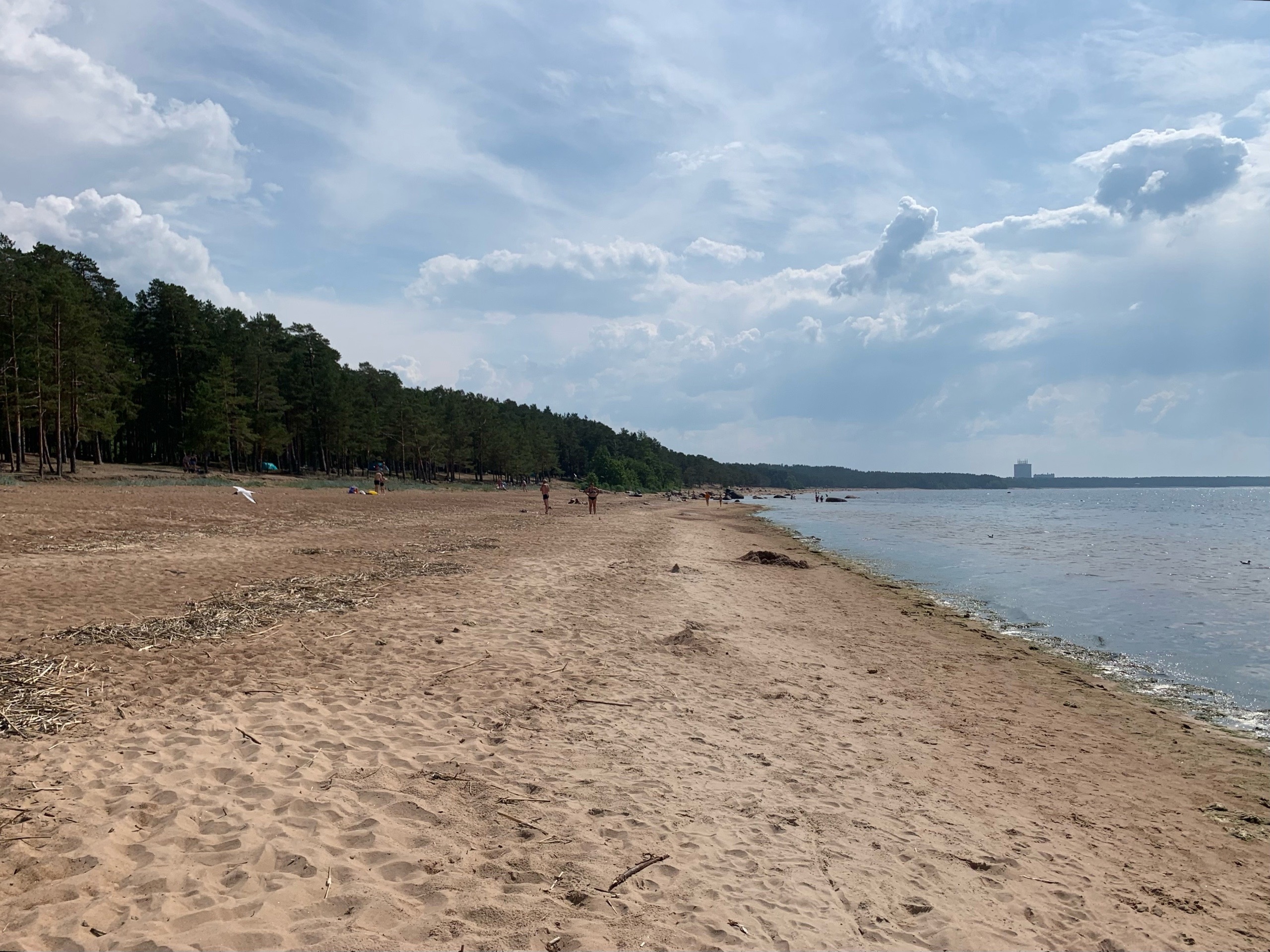 В Петербурге не нашли безопасных пляжей для купания