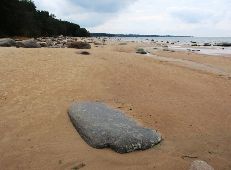 Петроглифы почти столетней давности обнаружили на берегу Финского залива