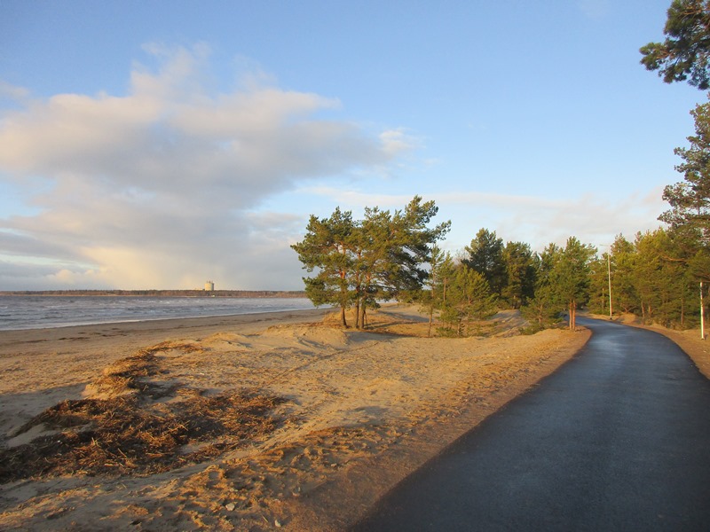 Зимние каникулы на берегу Финского залива: солнце, пляж…
