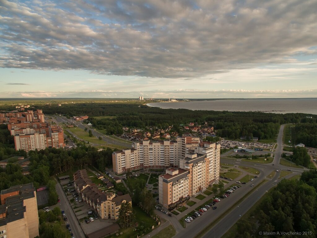 Депутаты Соснового Бора утвердили новую схему избирательных округов |  02.05.2024 | Сосновый Бор - БезФормата