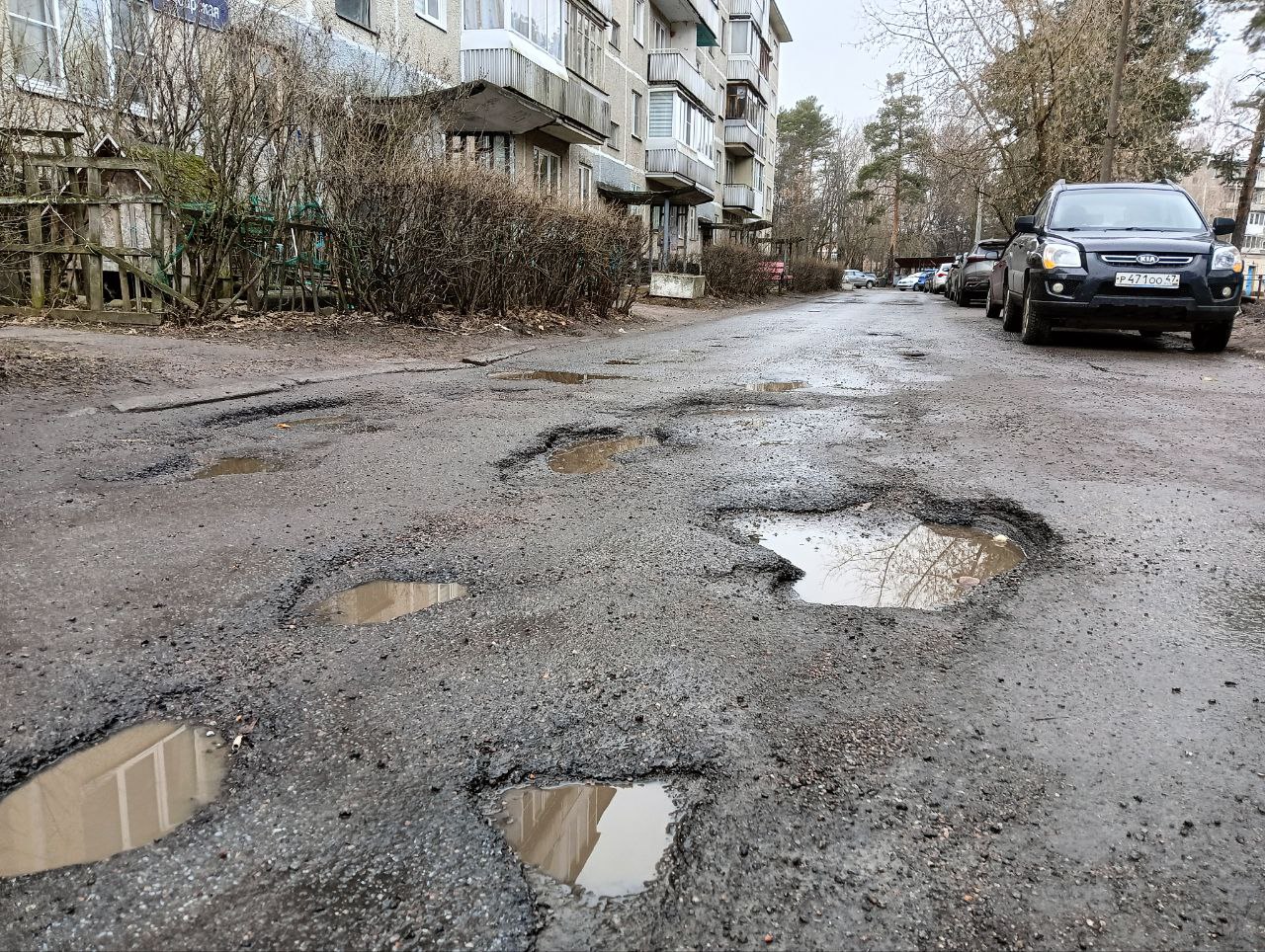 Фото Людмилы Цупко