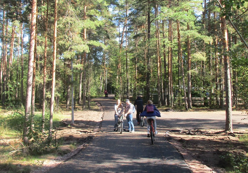 В сосновоборском Приморском парке достроили велодорожку