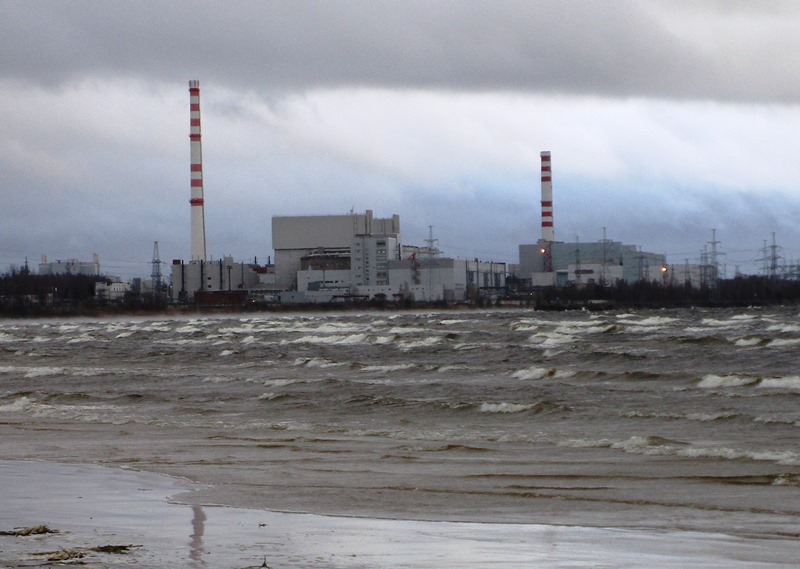 В правительстве Ленобласти отклонили законопроект о 50-процентной скидке на электроэнергию для жителей Соснового Бора