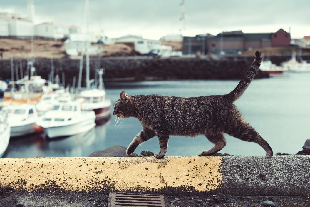 Фото: Unsplash