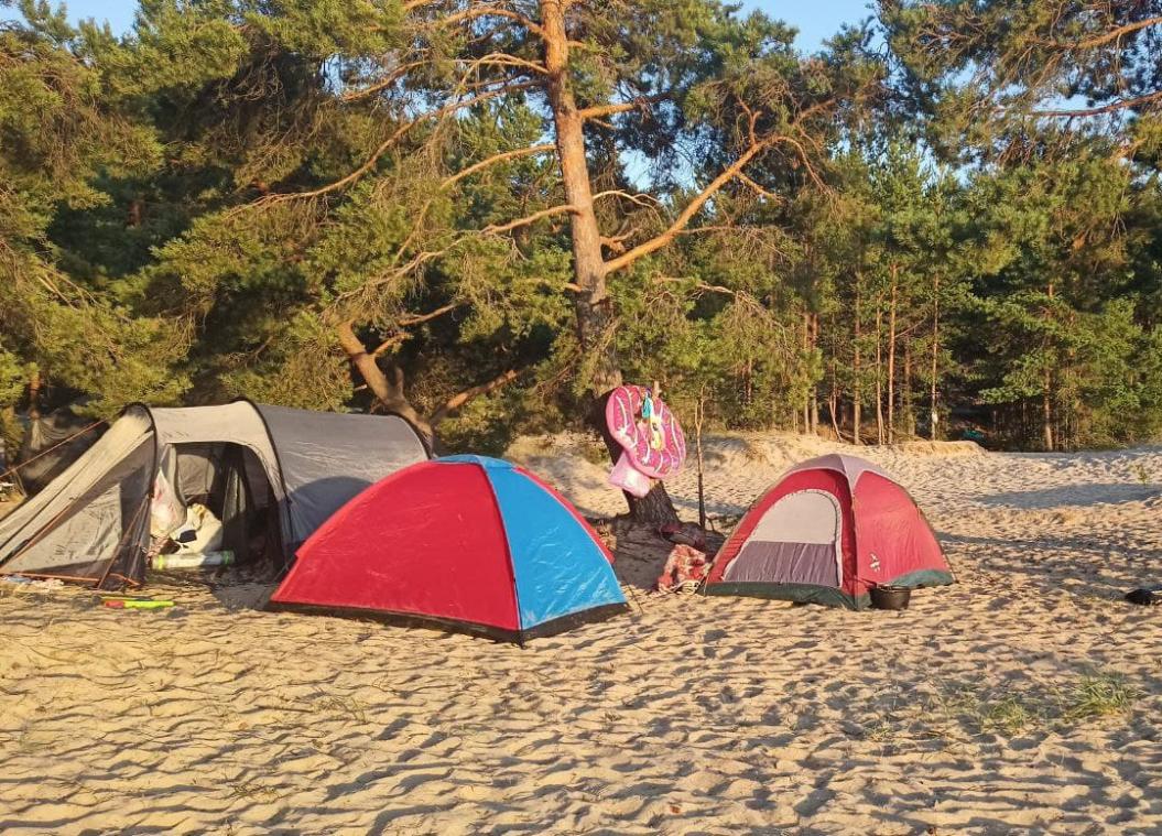 Депутаты предложили штрафовать за установку палаток в парках природы Соснового Бора / фото: Людмила Цупко