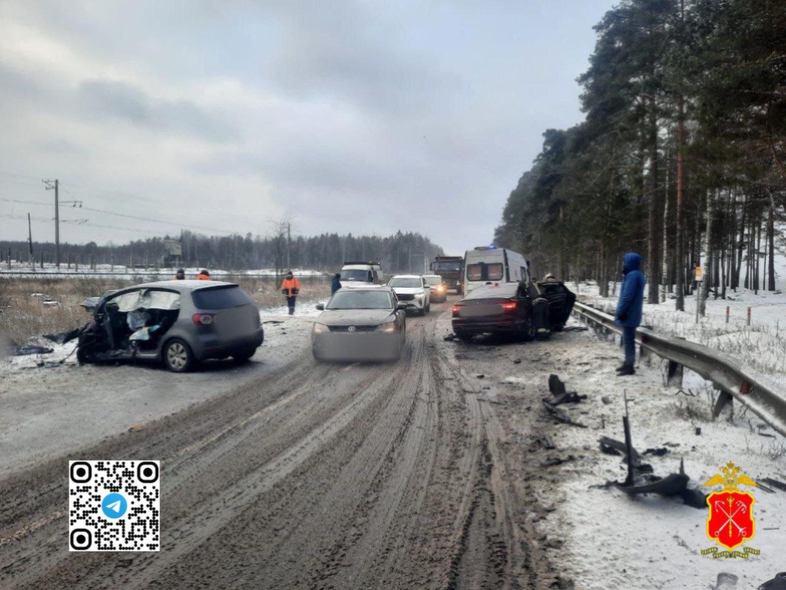 Между Большой Ижорой и Лебяжье произошло смертельное ДТП / Маяк. Сосновый  Бор. Ленобласть.