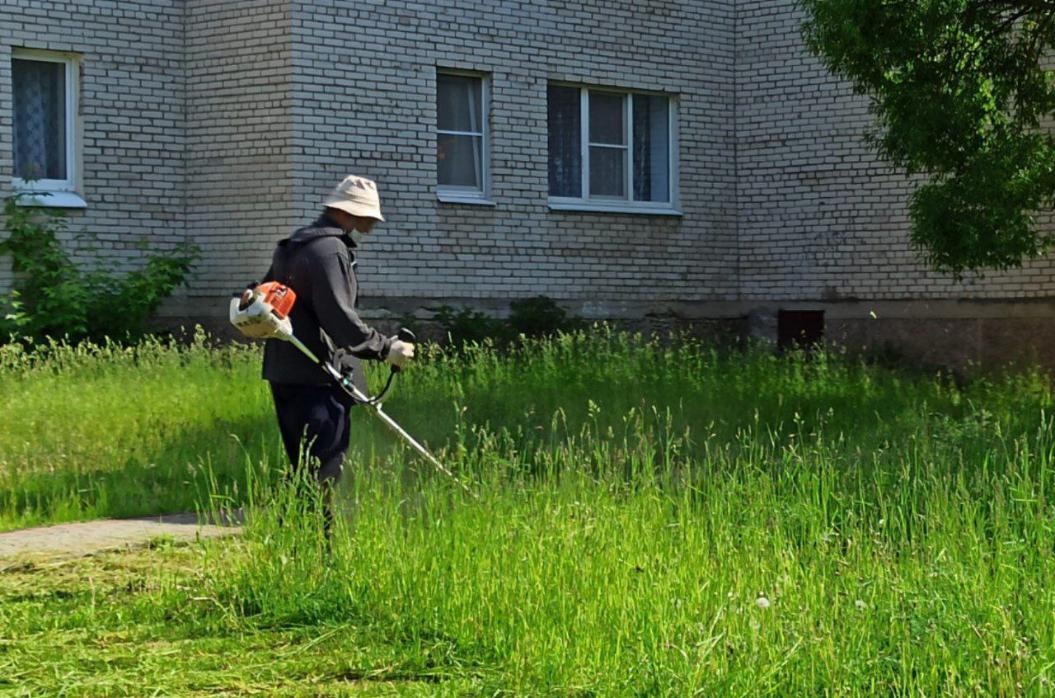 В Сосновом Бору косят траву и готовят пляжи к лету
