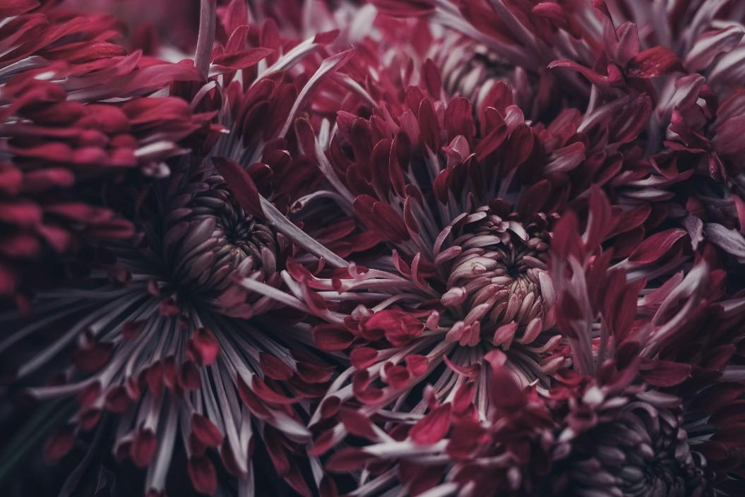 Фото: Unsplash