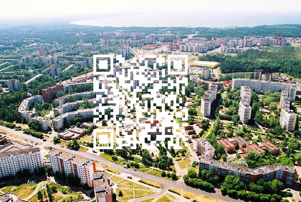 Почти у 62% есть QR-код. Опрос в Сосновом Бору