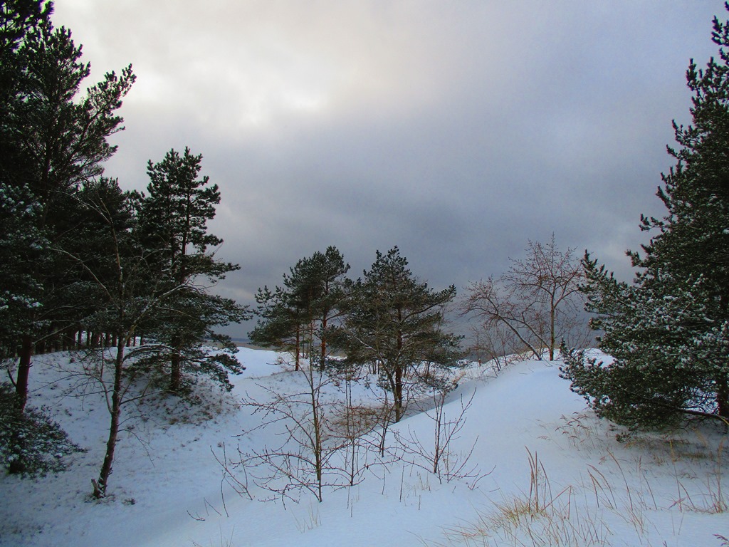 В Ленобласти пройдут ледяные дожди и ожидаются резкие скачки температуры
